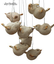 Ptaki