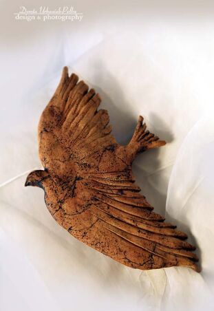 PTAK SZAMOTOWY - GOŁĄB