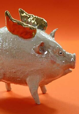 ŚWINKA JAKO GOŁĘBICA