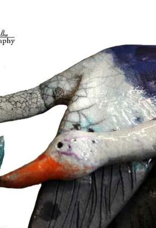 DZIKA GĘŚ W RAKU - CZĘŚĆ STADA 