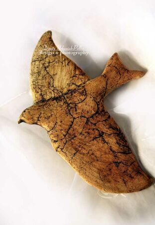 PTAK SZAMOTOWY - GOŁĄB