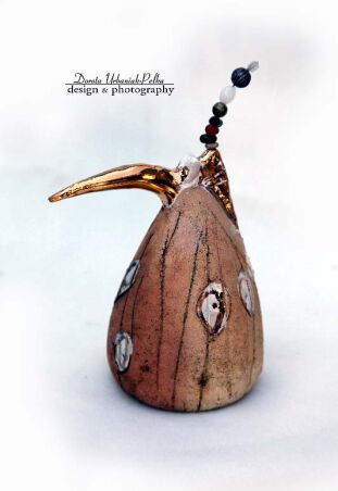 SKRZYDEŁKO CZY NÓŻKA - ZŁOTODZIOBEK