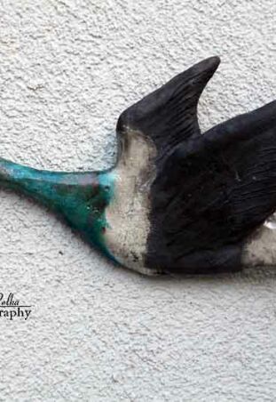 DZIKA GĘŚ W RAKU - CZĘŚĆ STADA 