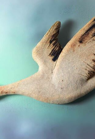 PTAK SZAMOTOWY - DZIKA GĘŚ - SKRZYDŁA DO GÓRY