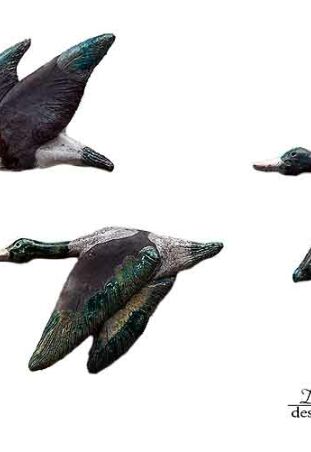 TROJKA DZIKICH GĘSI 